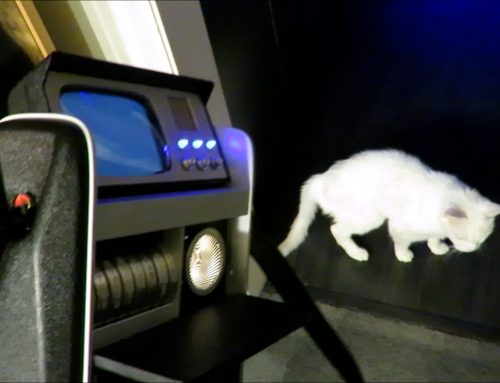 July 14 – July 20 (2025)