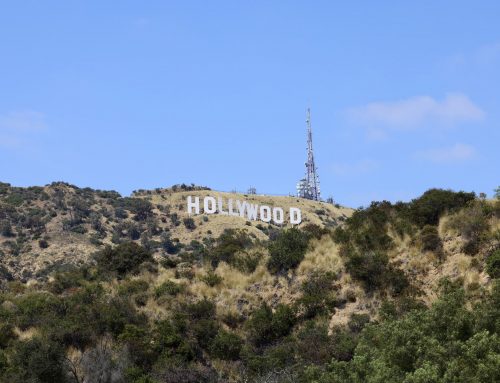 May 11 – May 17 (2026)
